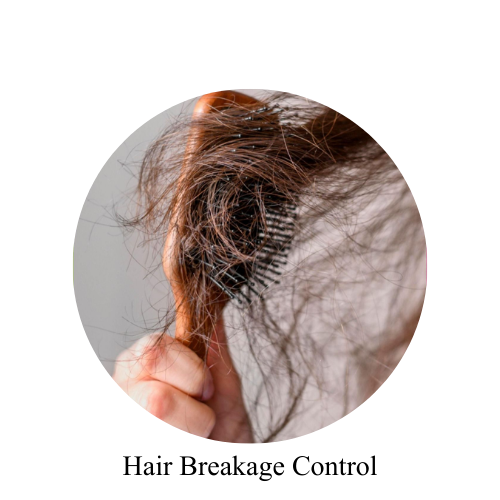 hair breakage control